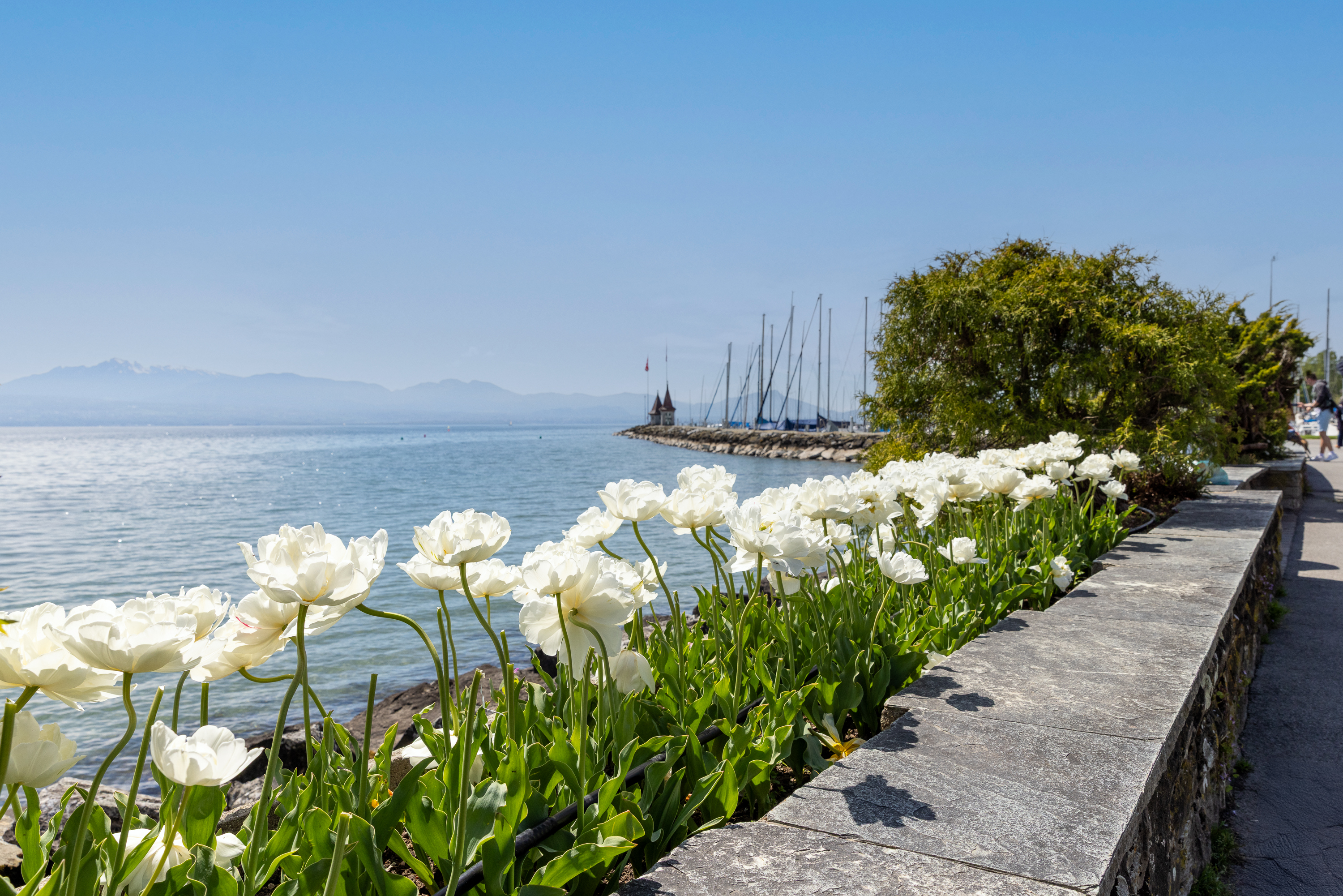 Hôtel Mont-Blanc au Lac au bord du lac Léman face au vieux port de Morges à 2 pas de la Fête de la Tulipe