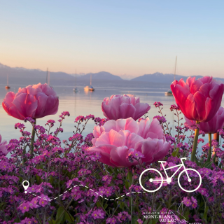Halte vélo entre le Valais et Genève à Morges au Mont-Blanc 