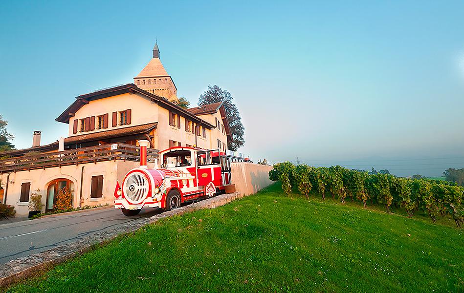 petit train touristique