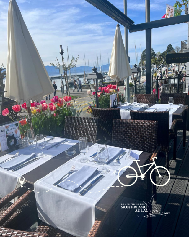 Terrasse pieds dans l'eau idéal pour un arrêt pour manger sur un parcours cycliste entre Lausanne et Genève à Morges