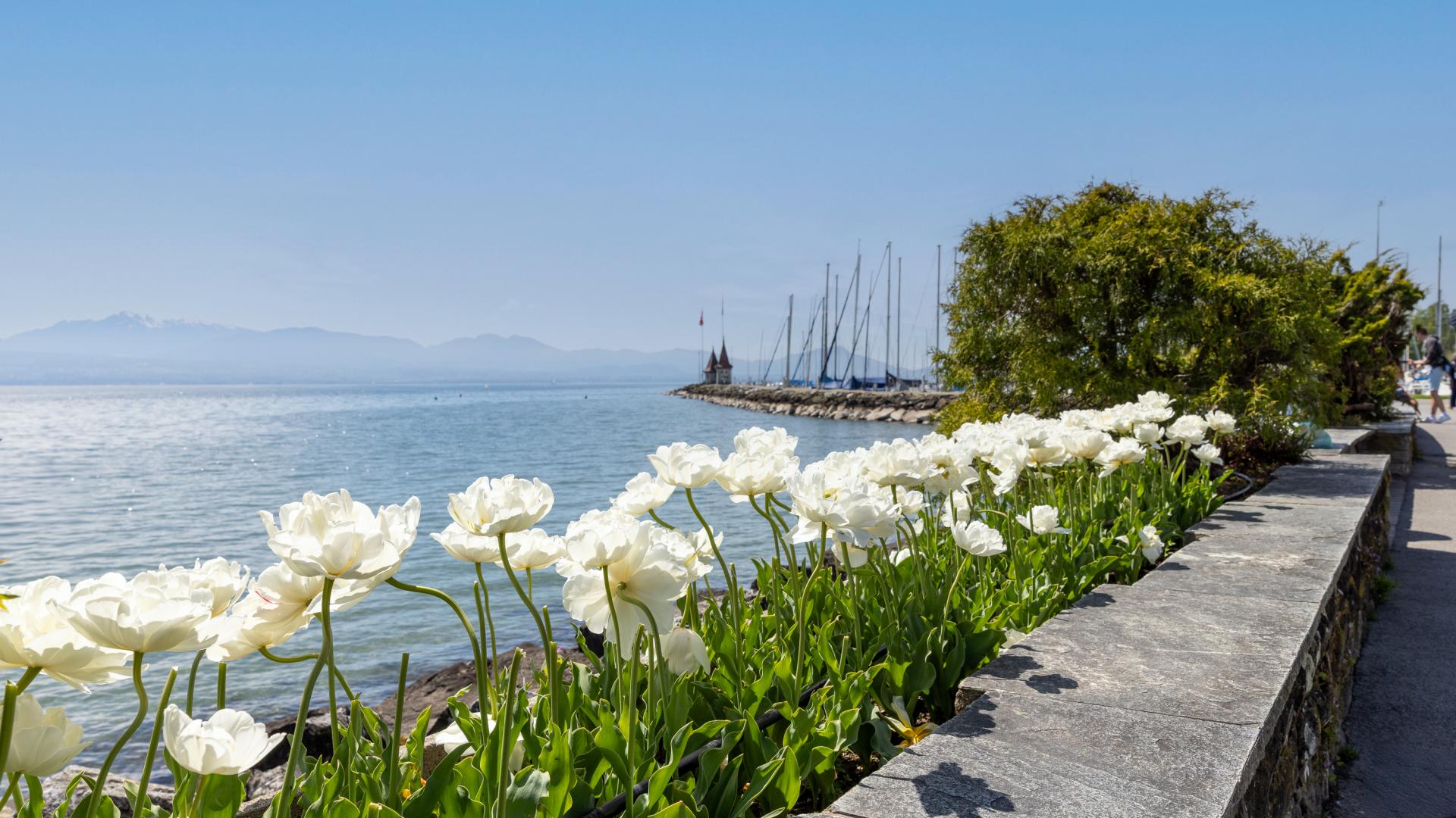 Hôtel Mont-Blanc au Lac au bord du lac Léman face au vieux port de Morges à 2 pas de la Fête de la Tulipe